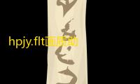 hpjy.flt画质助手分享版